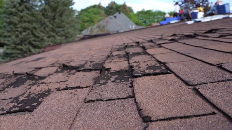 Best Rubber Roofing (EPDM, TPO)  in La Mesa, CA