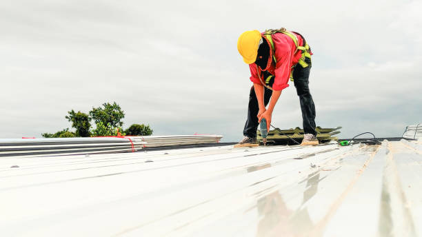 Best Skylight Installation and Repair  in La Mesa, CA