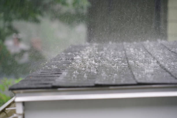 Professional Roofing Services in La Mesa, CA
