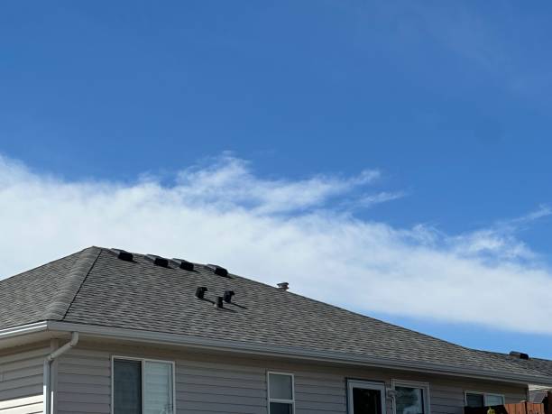 Best Gutter Installation and Repair  in La Mesa, CA
